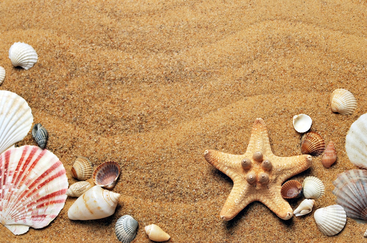 How to avoid summer holiday stress